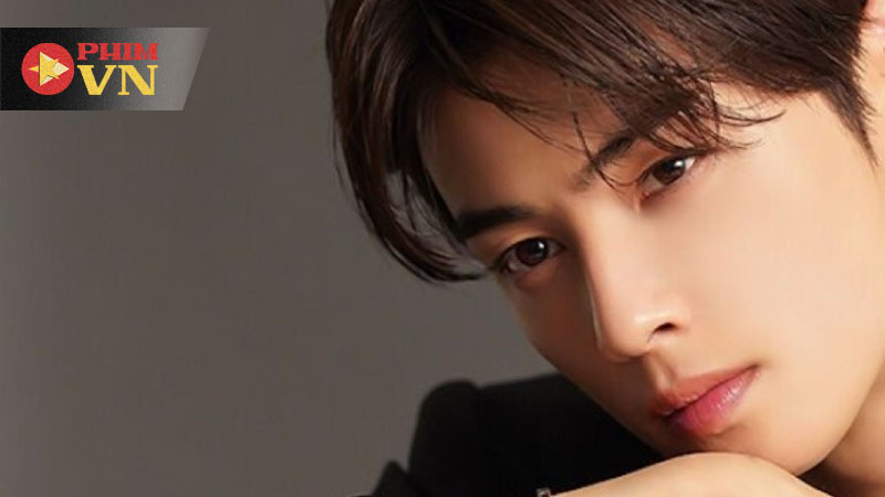 Cha Eun Woo