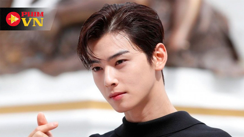 Cha Eun Woo
