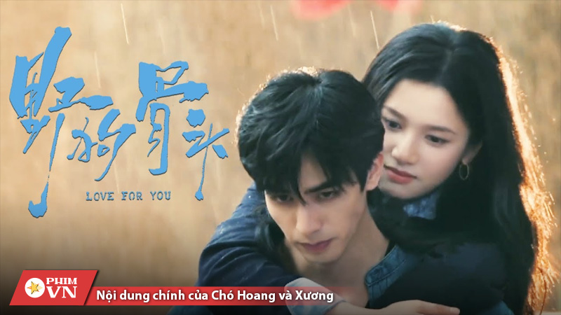 lịch chiếu bộ phim Chó Hoang và Xương