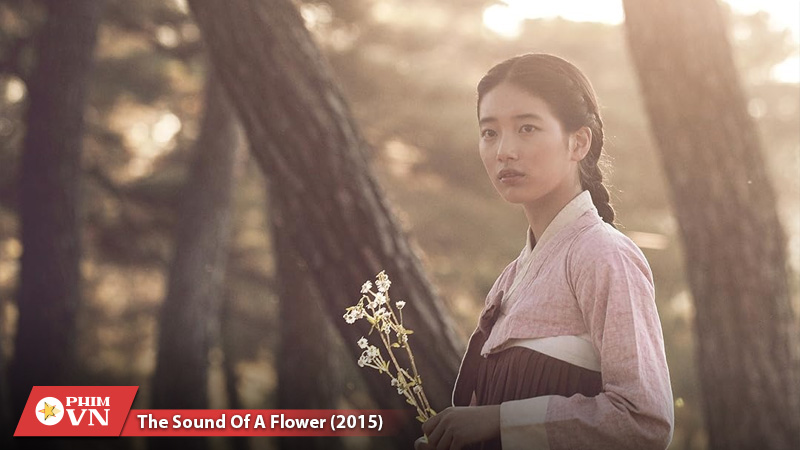 Phim ngắn của suzy